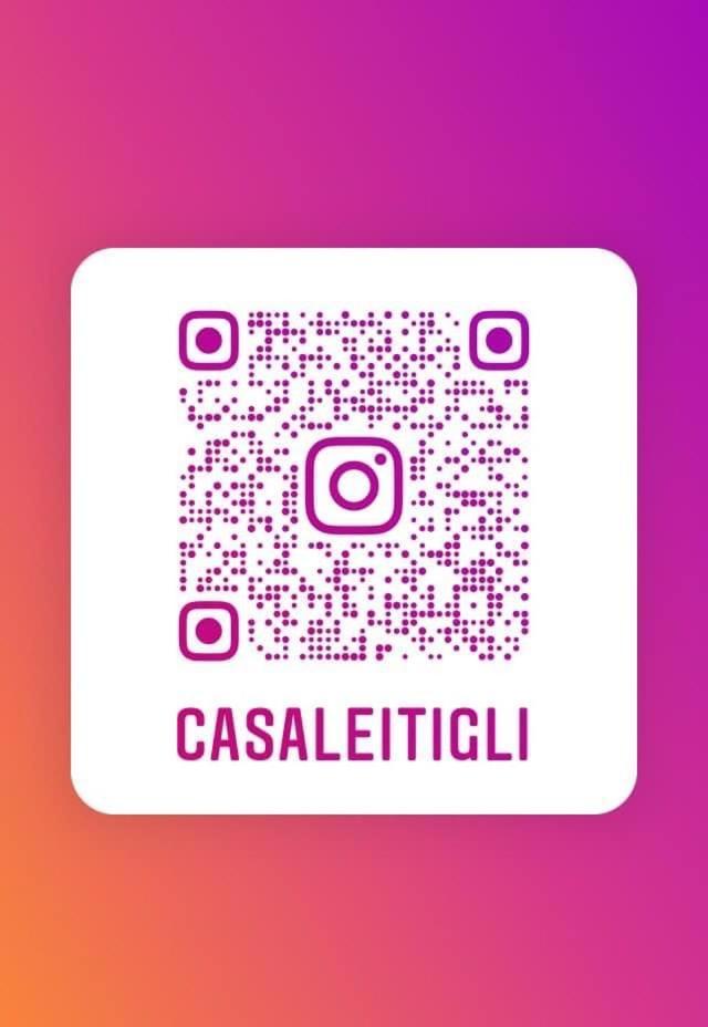 Casale I Tigli Bed & Breakfast Lucca Exterior foto